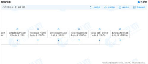 小米战略入股飞锃半导体，深化碳化硅器件布局以赋能计算机软件研发